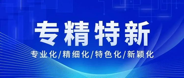 羞羞视频SSS成功入选广东省2022年专精特新中小企业!